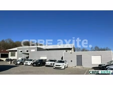achat local professionnel 397m² les eparres 38300