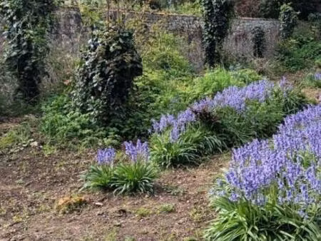 achat terrain 477m² la rochelle 17000