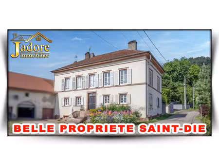 vente immeuble 0 pièces 220 m² à saint-die-des-vosges (88100)  189 000 €
