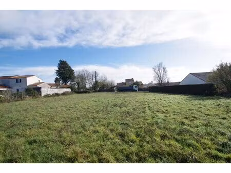 superbe terrain constructible avec vue sur les vignes – saint-fiacre-sur-maine