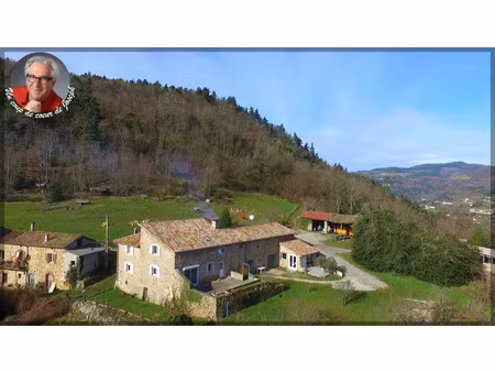 authentique grange rénovée avec vaste terrain et dépendances - lamastre