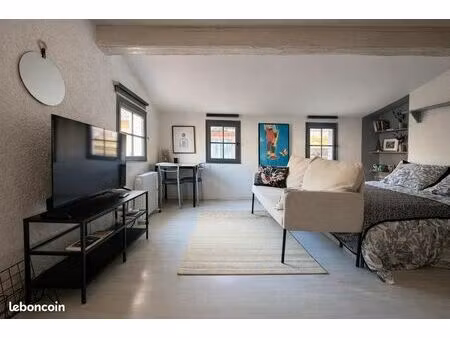 studio spatieux sous les toits de perpignan en bail mobilité