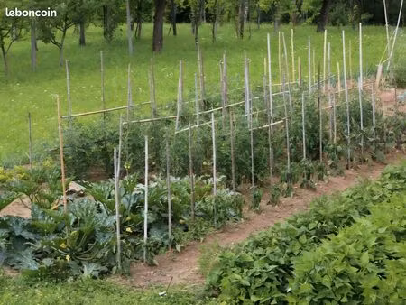 terrain potager recherche