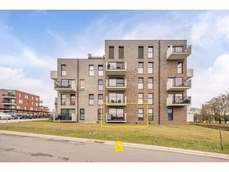 appartement te koop in tongeren met 1 slaapkamer