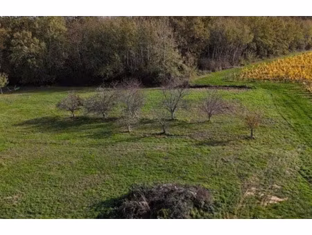 vente terrain 755 m² soulignac (33760)