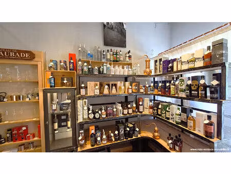 vente commerce 2 pièces 76 m² villeneuve-lès-avignon (30400)