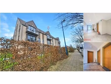 duplex à louer à rue des boutons d'or 2 marcq (vwd16512)