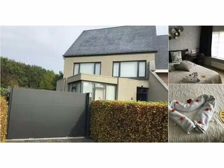 maison en colocation à tessenderloseweg geel (vbd82727)
