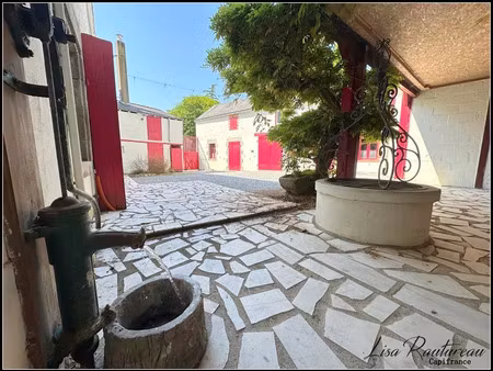 vente maison 10 pièces 360 m² vieillevigne (44116)