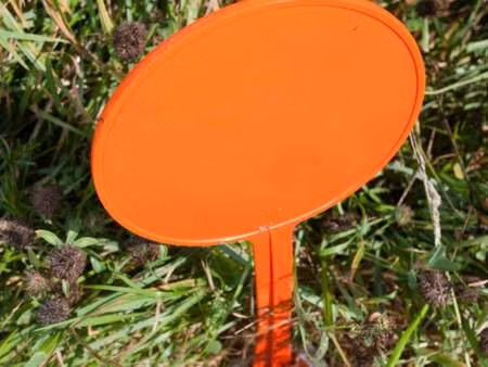 vente terrain à derval (44590) : à vendre / derval