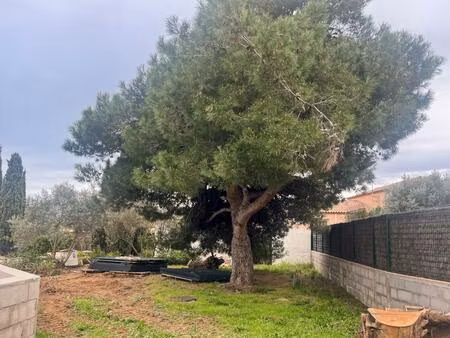 vente terrain 850 m² marseillan (34340)