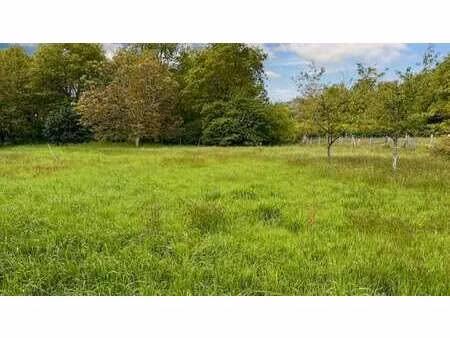 vente terrain au mans (72000) : à vendre / 713m² le mans