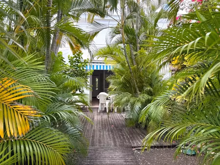 vente appartement 3 pièces 45 m² à saint-françois (97118)  175 000 €