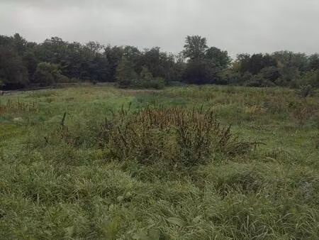 terrain constructible viabilisé à vendre