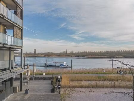 bien professionnel à louer à temse € 3.200 (lkj7c) - vmv vastgoed | zimmo