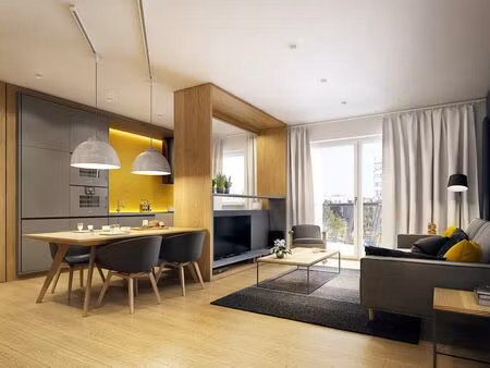 vente appartement 1 pièce 49 m² mulhouse (68100)