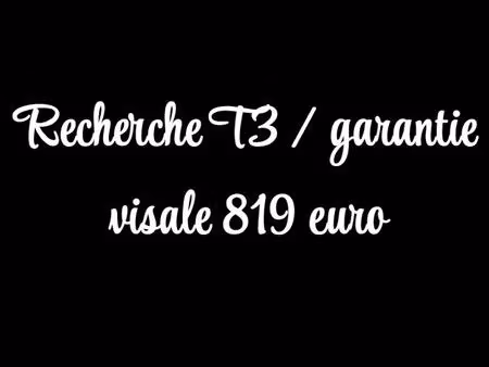recherche t3 / garantie visale