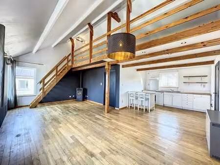 charmant duplex avec 1 chambre et bureau !