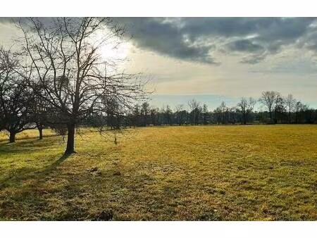 terrain constructible viabilisé à vendre