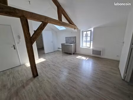 t3 de caractère en état neuf 55m2 à louer