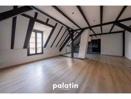 immobiliere le palatin