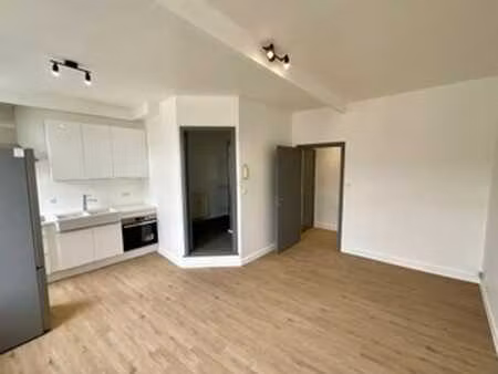 agréable petit appt 1 ch rénové récemment proche du centre!