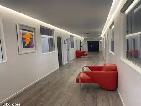 bureaux 250 m² paris
