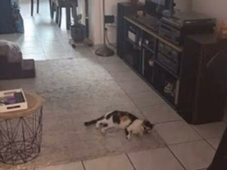 appartement une chambre avec terrasse.