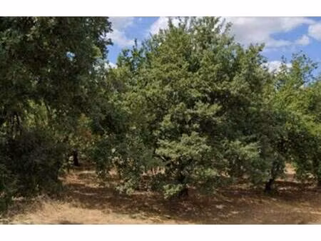 terrain constructible viabilisé à vendre