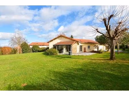 pierre perchey immobilier