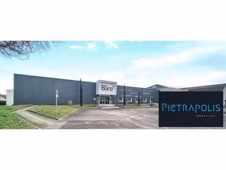 pietrapolis immobilier