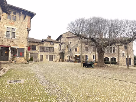 rare perouges maison 140m2 au sol terrain terrasse