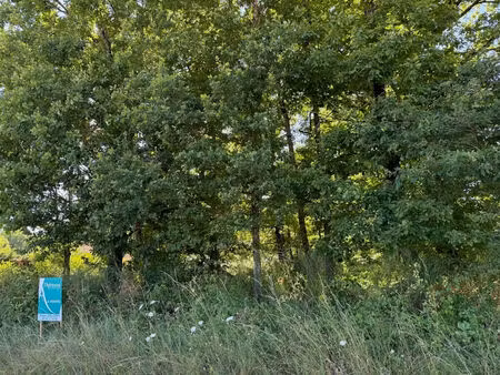 vente terrain  1627.00m²  mur