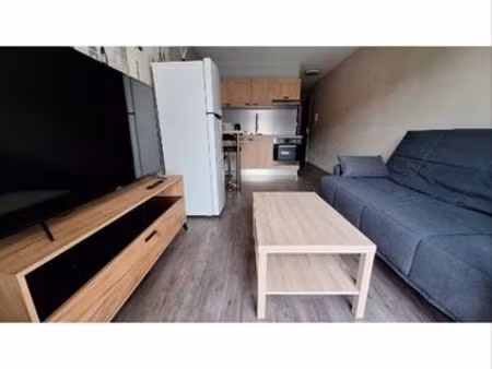 studio refait à neuf + balcon+ parking