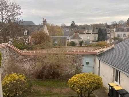 très beau deux pièces  coeur historique de meung-sur-loire