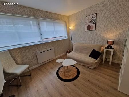 appartement t1 bis spacieux - ancely - purpan