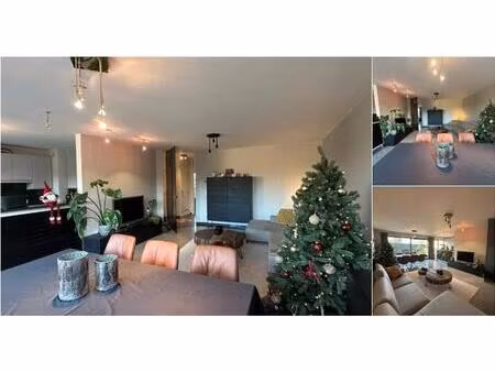 appartement à louer à brusselsesteenweg 152 asse (rbv16364)