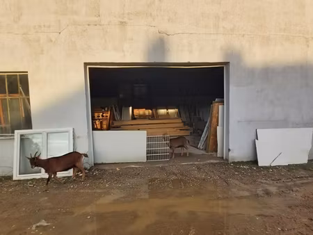 vente terrain 2 500 m²