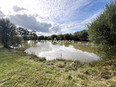 vente terrain 12539 m² à bégrolles-en-mauges (49122)  95 000 €