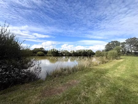 vente terrain 12539 m² à cholet (49300)  95 000 €