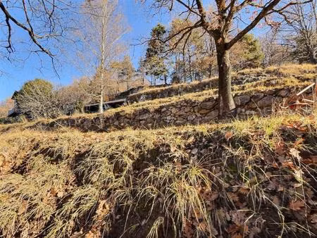 terrain agricole et/ou de loisirs. belle opportunité !