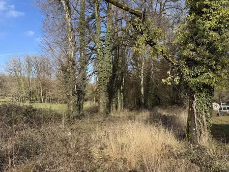 vente terrain 5430 m² à saint-phal (10130)  35 000 €