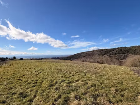 vente terrain 1300 m² à les brunels (11400)  39 000 €