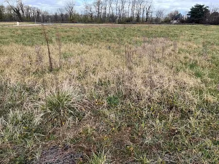 vente terrain 1299 m² à prudhomat (46130)  39 000 €