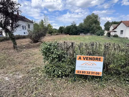 vente terrain 1444 m² à cuisery (71290)  40 000 €