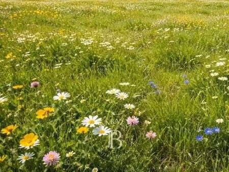 terrain constructible viabilisé à vendre