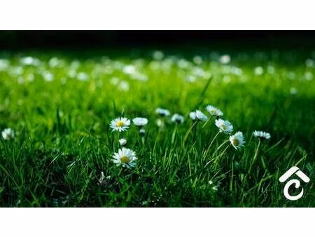 terrain constructible viabilisé à vendre