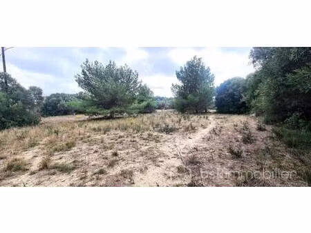 terrain constructible viabilisé à vendre