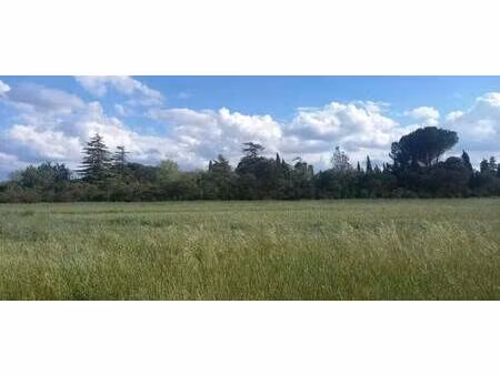 terrain constructible viabilisé à vendre