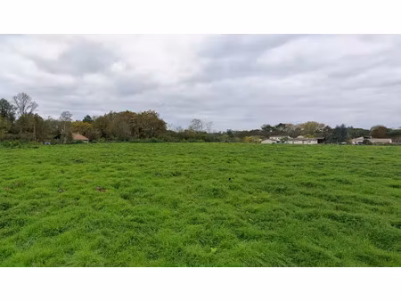 vente terrain 983 m² à villandraut (33730)  58 000 €